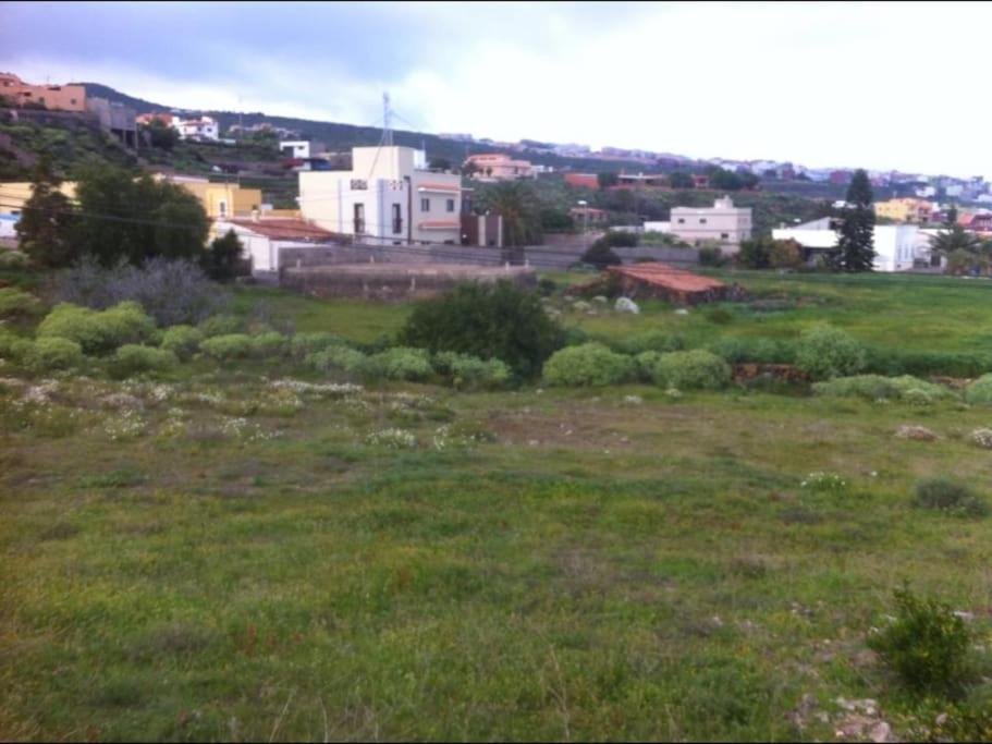 Rural House With Traditional Architecture S. XIX Santa Cruz de Tenerife Esterno foto
